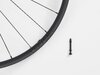 Bontrager Hinterrad Bontrager Kovee RSL 29Disc TLR Clincher